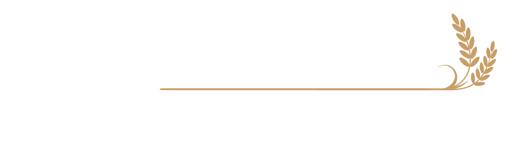 Zum Steinofen | Contemporary Pizza