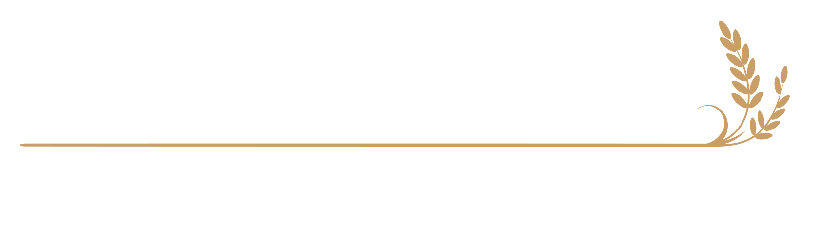 Zum Steinofen | Contemporary Pizza